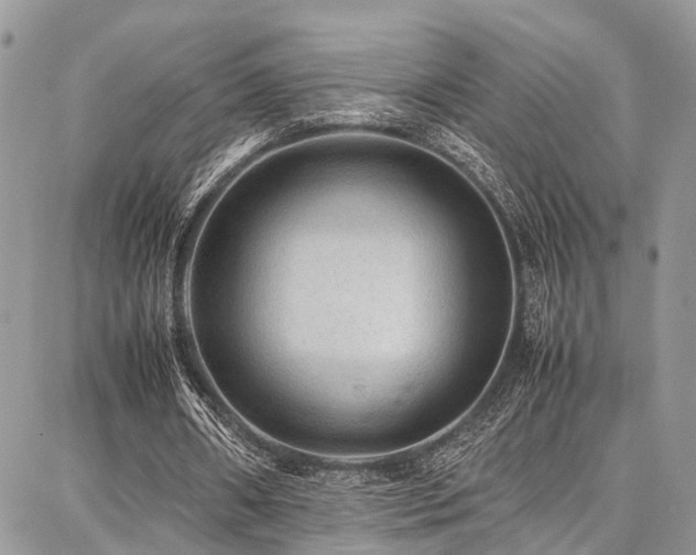 X0000087360482200704201151
