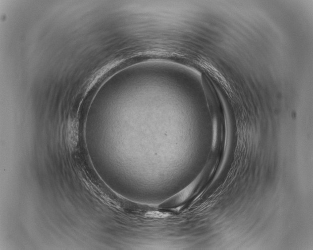 X0000087360484200704201151