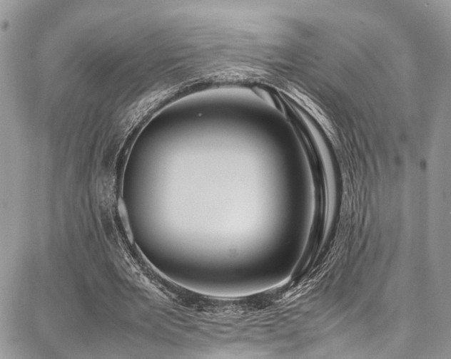 X0000087360485200704201151