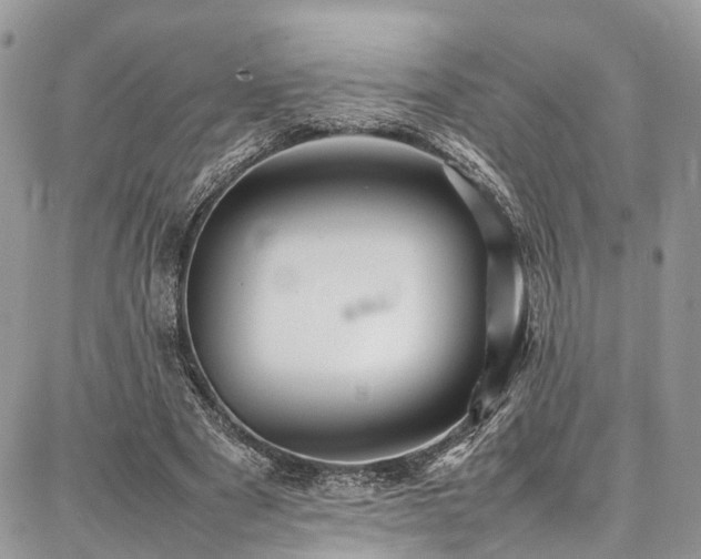 X0000087360489200704201151