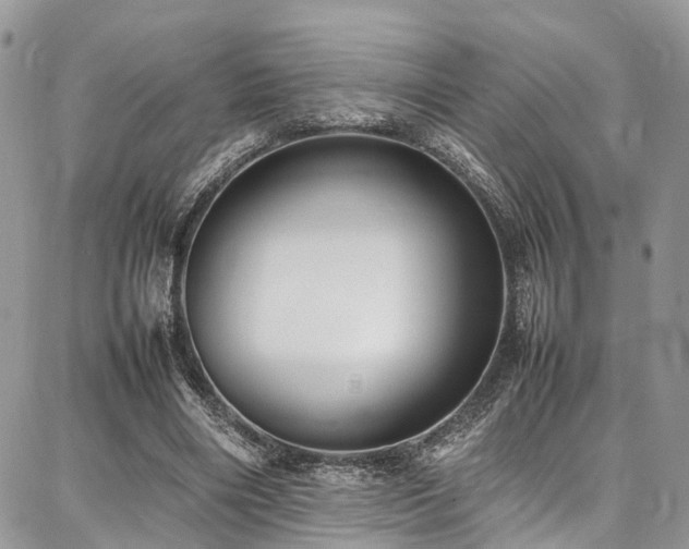X0000087360490200704201151