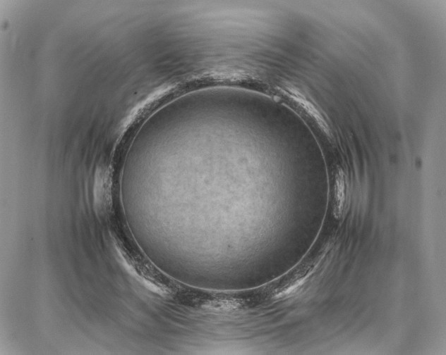 X0000087360492200704201151