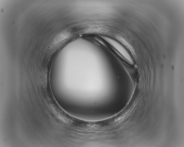 X0000087360493200704201151