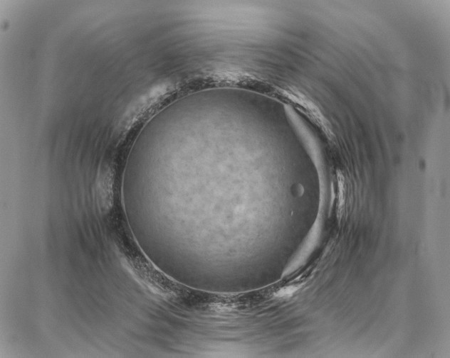 X0000087360496200704201151