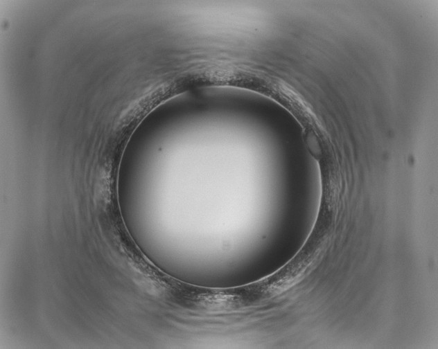 X0000087360497200704201151