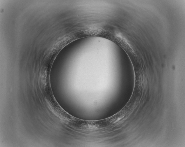 X0000087360498200704201151