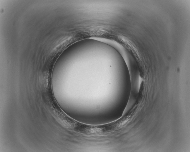 X0000087360501200704201151