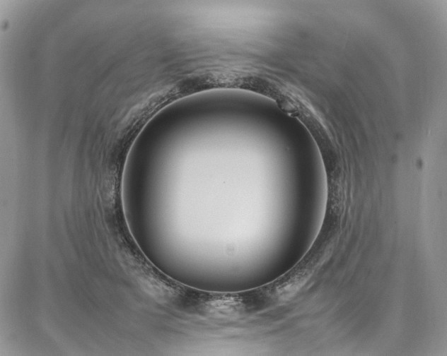 X0000087360505200704201150