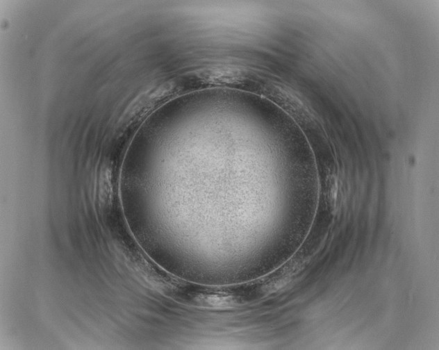 X0000087360506200704201150