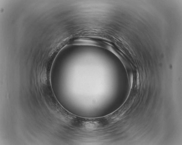 X0000087360508200704201150