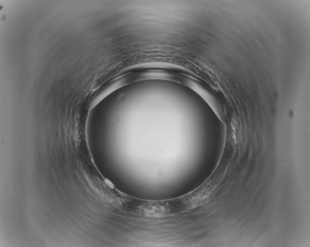 X0000087360512200704201150