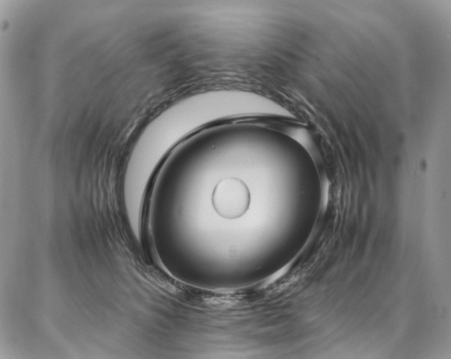 X0000087360516200704201150