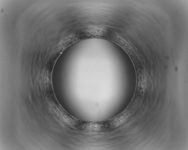 X0000087360518200704201150