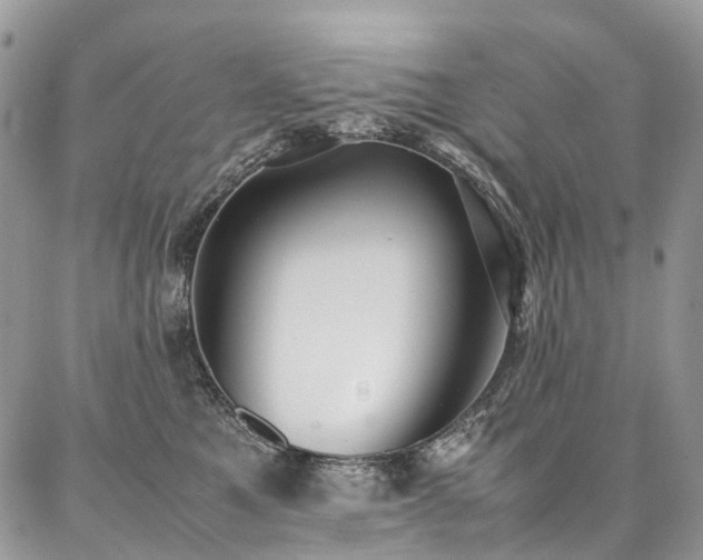 X0000087360521200704201150