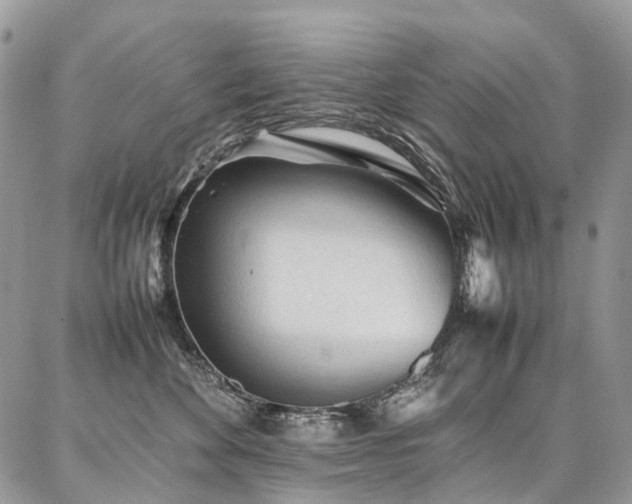 X0000087360524200704201150