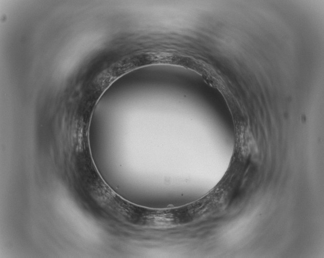 X0000087360525200704201150