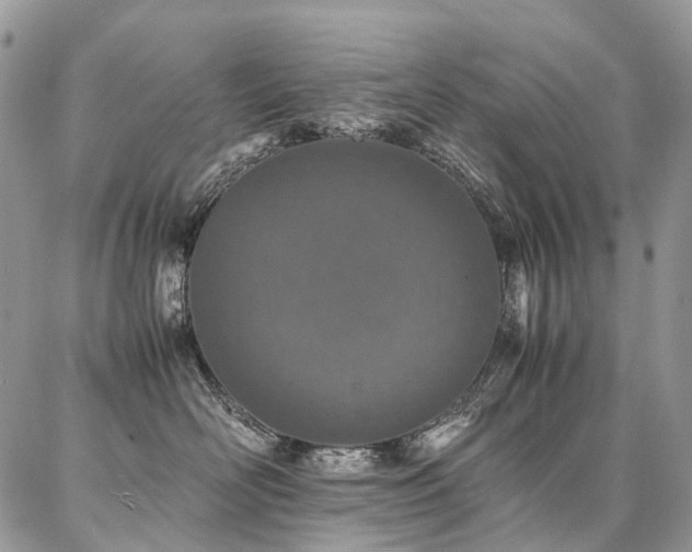 X0000087360526200704201150