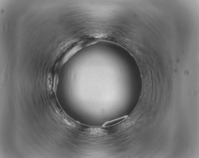 X0000087360528200704201150