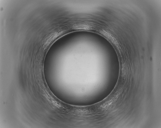 X0000087360529200704201149