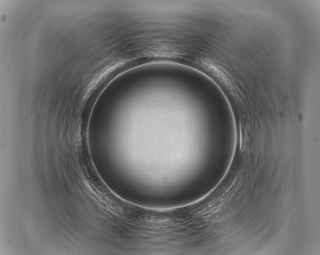 X0000087360531200704201149