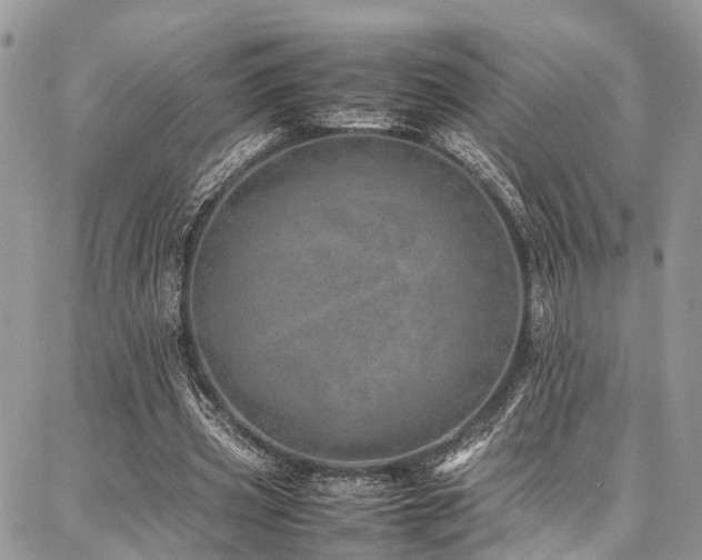 X0000087360533200704201149