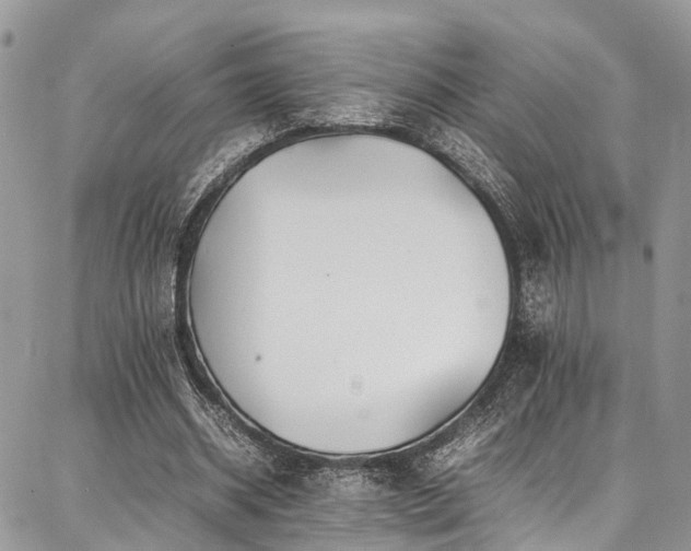 X0000087360534200704201149