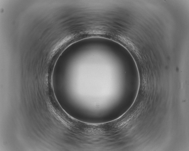 X0000087360535200704201149