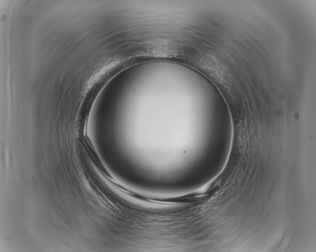 X0000087360536200704201149