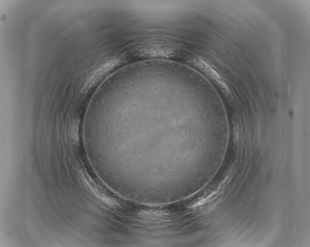 X0000087360537200704201149