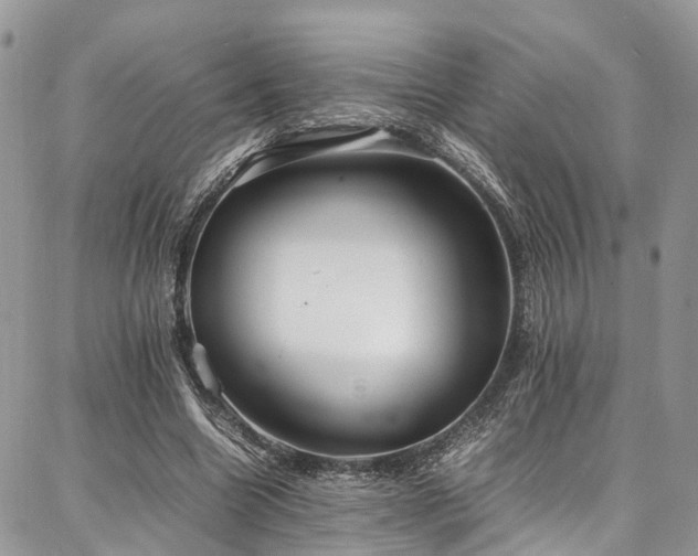X0000087360538200704201149