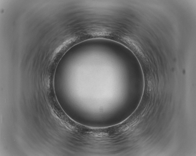 X0000087360539200704201149