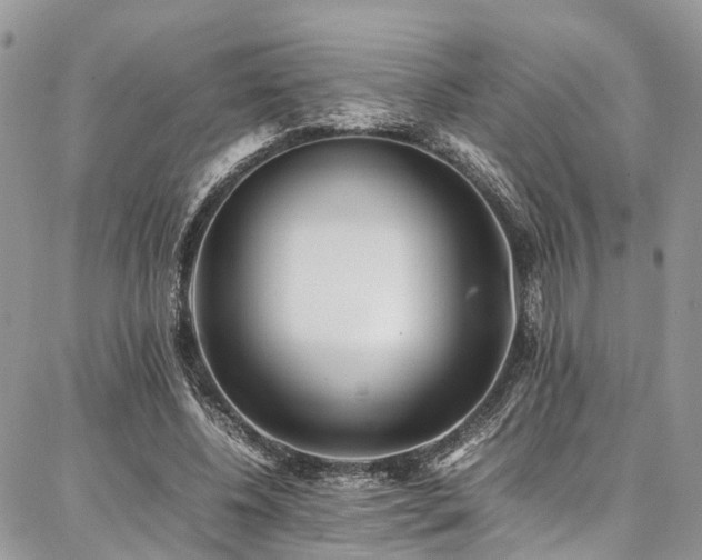 X0000087360540200704201150