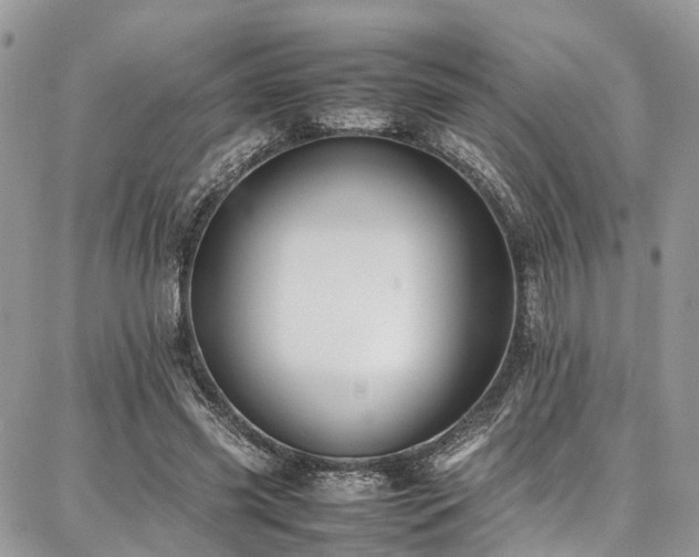 X0000087360541200704201150