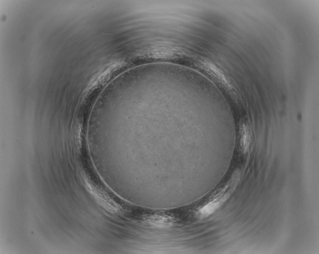 X0000087360542200704201150