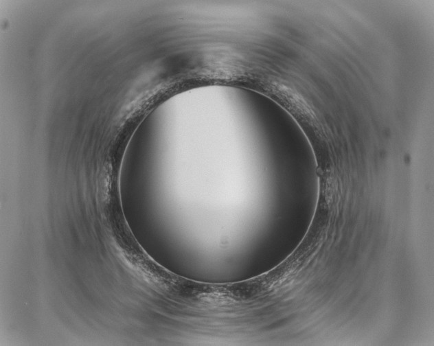 X0000087360544200704201150