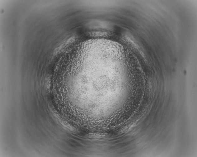 X0000087360545200704201150
