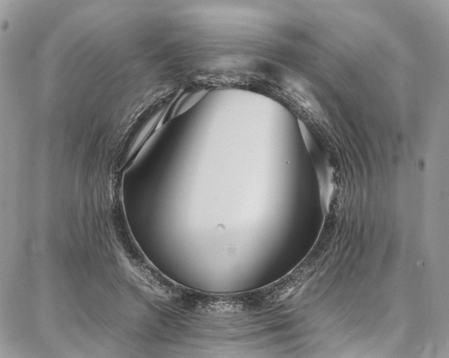X0000087360546200704201150