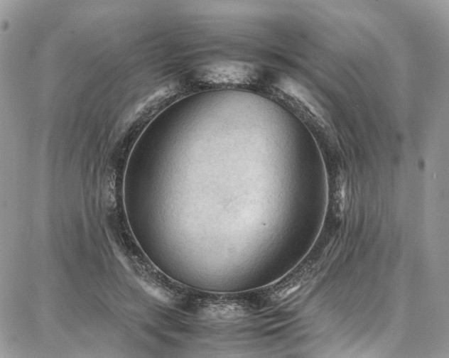 X0000087360547200704201150