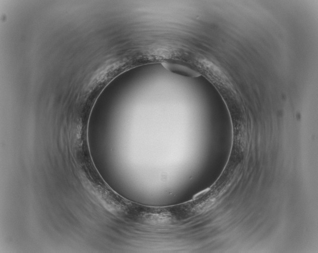 X0000087360548200704201150