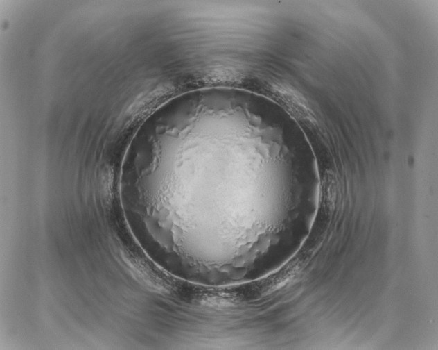 X0000087360550200704201150