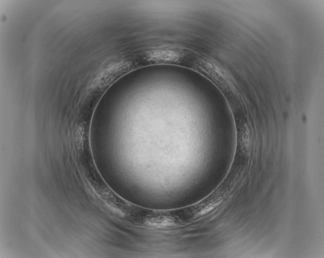 X0000087360551200704201150