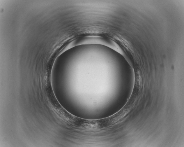 X0000087360552200704201150
