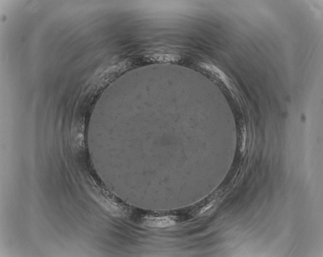 X0000087360553200704201150
