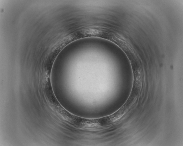 X0000087360555200704201150