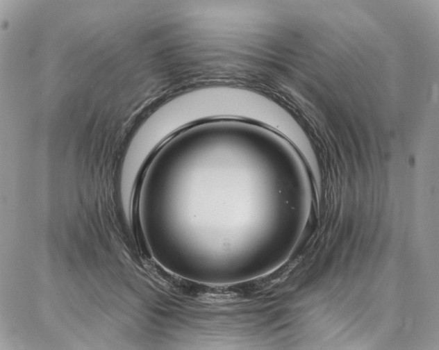 X0000087360556200704201150