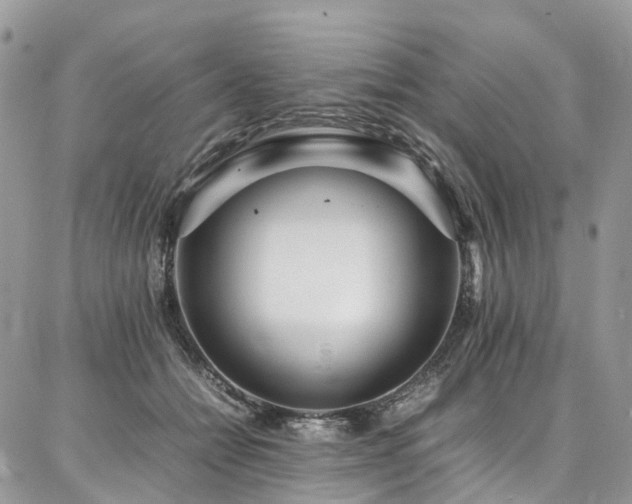 X0000087360558200704201150