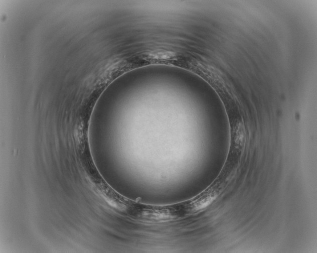 X0000087360559200704201150