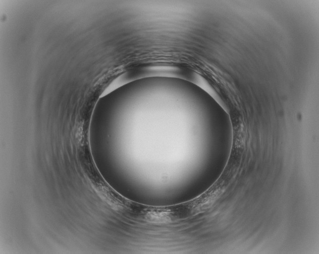 X0000087360560200704201150