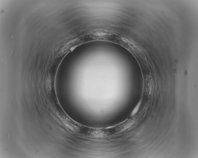 X0000087360562200704201150