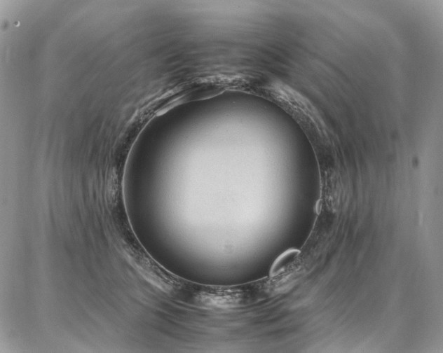X0000087360563200704201150